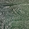 View the image: Froth patterns on pool surface