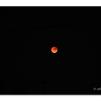 View the image: Olympus OM-D E-M1 MkII MILC