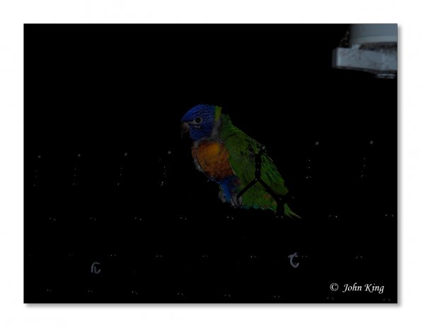 Olympus OM-D E-M1 MkII MILC