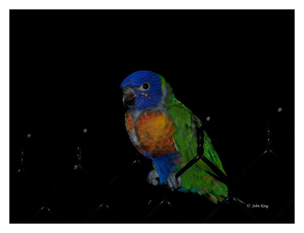 Olympus OM-D E-M1 MkII MILC