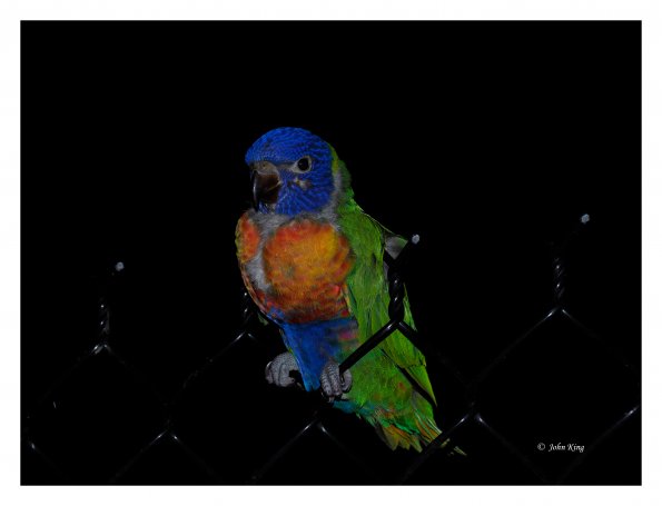 Olympus OM-D E-M1 MkII MILC