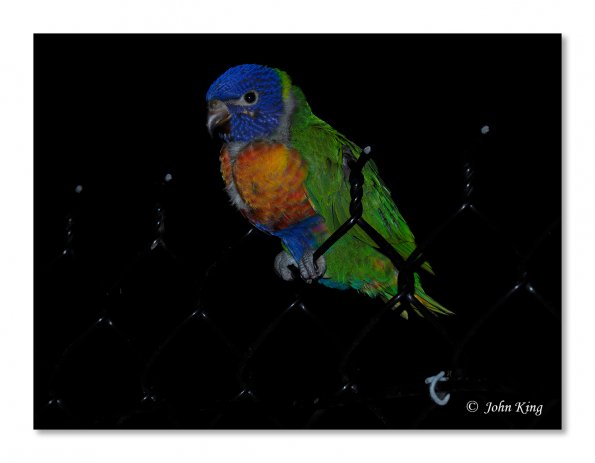 Olympus OM-D E-M1 MkII MILC