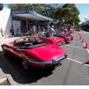 View the image: Beaumaris Concourse car show 13 Feb 2022
