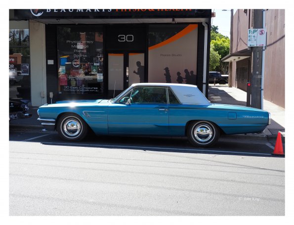 Beaumaris Concourse car show 13 Feb 2022