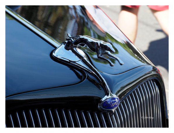 Beaumaris Concourse car show 13 Feb 2022