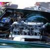View the image: Beaumaris Concourse car show 13 Feb 2022