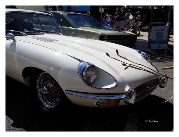 Beaumaris Concourse car show 13 Feb 2022