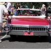View the image: Beaumaris Concourse car show 13 Feb 2022