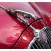 View the image: Beaumaris Concourse car show 13 Feb 2022