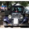 View the image: Beaumaris Concourse car show 13 Feb 2022