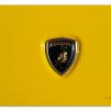 View the image: Lamborghini bonnet emblem