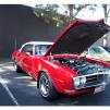 View the image: Pontiac Firebird