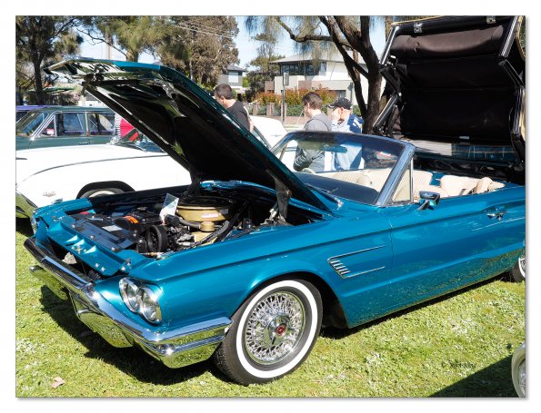 Ford Thunderbird 1965