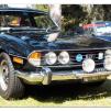 View the image: Triumph Stag