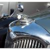 View the image: Riley bonnet emblem