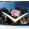 View the image: Cadillac bonnet emblem