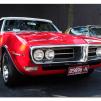 View the image: Pontiac Firebird