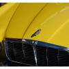 View the image: Jaguar - XJ6 bonnet emblem