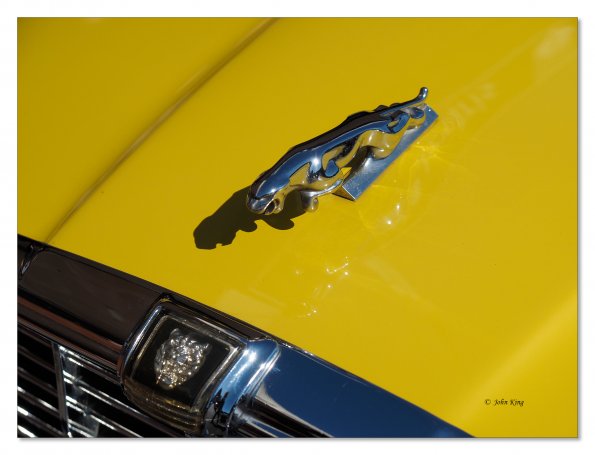 Jaguar - XJ6 bonnet emblem