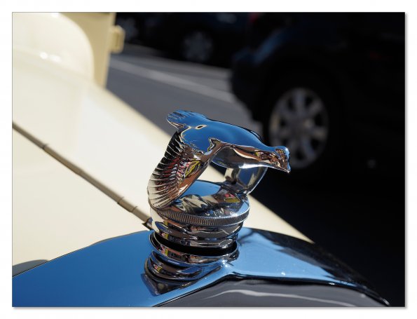Ford bonnet emblem, flying swan