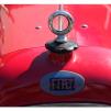 View the image: Fiat radiator sight glass and bonnet emblem