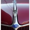 View the image: Ford bonnet emblem