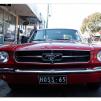 View the image: Ford Mustang