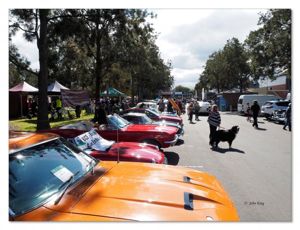 Car show at Beaumaris Concourse 11 Sep 2016