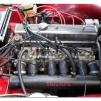 View the image: Triumph TR6