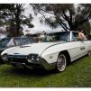 View the image: Ford Thunderbird