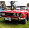 View the image: Triumph Stag