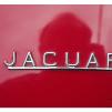 View the image: Jaguar E-type