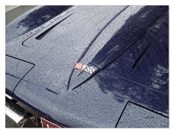 Beaumaris Concourse Car Show 12 Feb 2023