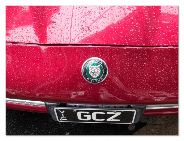 Beaumaris Concourse Car Show 12 Feb 2023