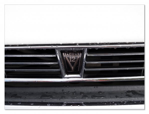 Beaumaris Concourse Car Show 12 Feb 2023