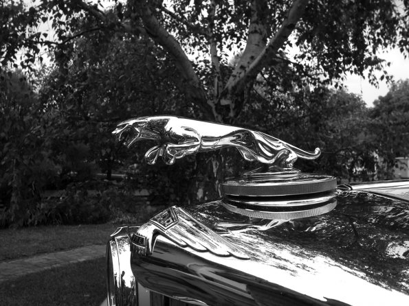 David Tingay's Mark V Jaguar