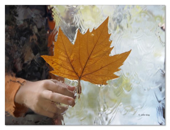 Water wall at the NGV, Melbourne