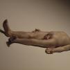 View the image: Ron Mueck sculpture