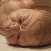 View the image: Ron Mueck sculpture