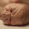View the image: Ron Mueck sculpture