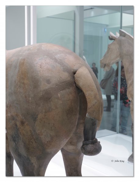 Olympus OM-D E-M1 MkII MILC