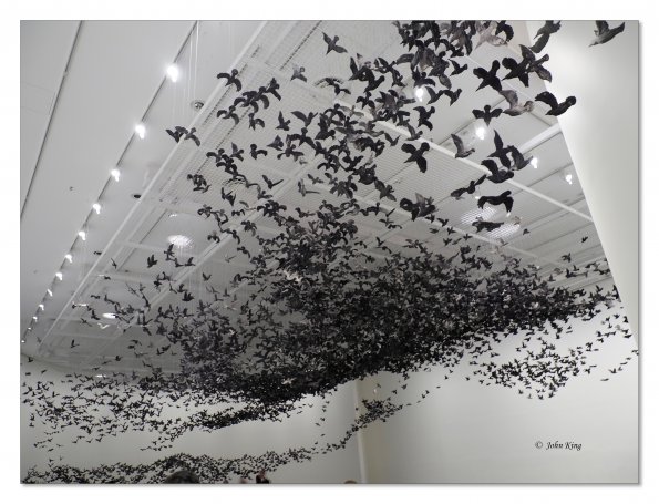 Olympus OM-D E-M1 MkII MILC