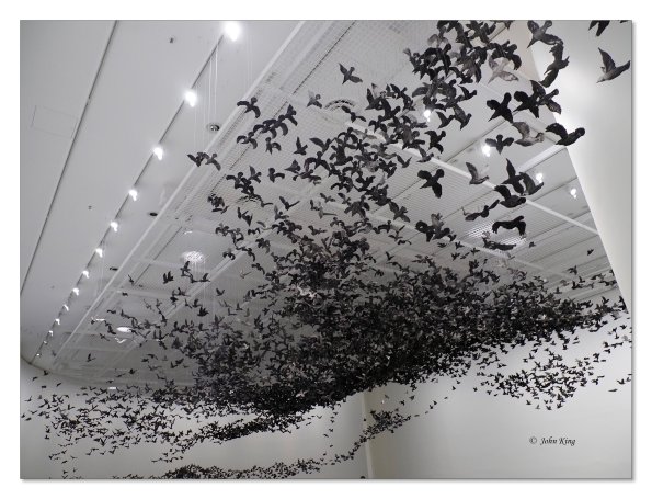 Olympus OM-D E-M1 MkII MILC