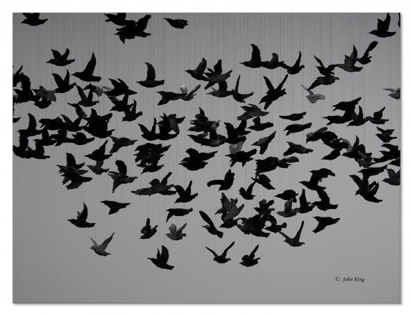 Olympus OM-D E-M1 MkII MILC