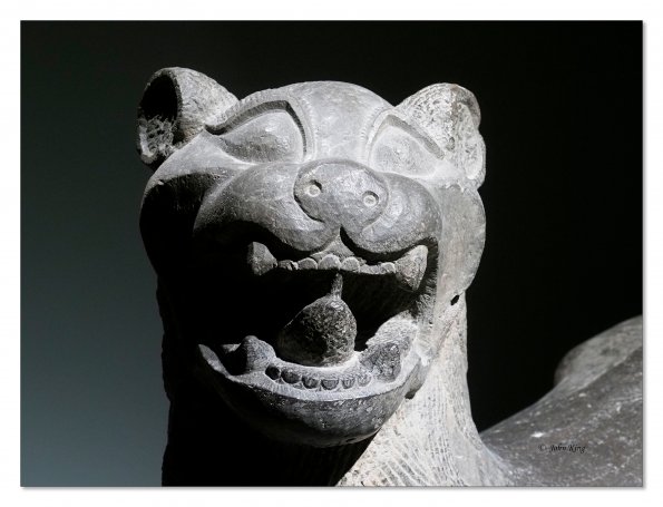 Olympus OM-D E-M1 MkII MILC