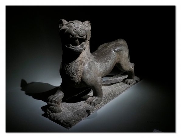 Olympus OM-D E-M1 MkII MILC