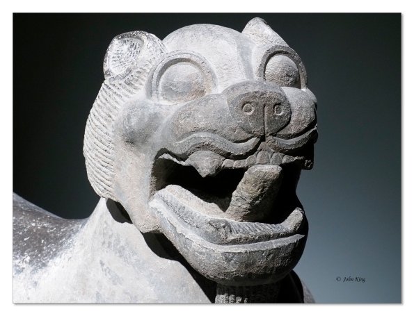 Olympus OM-D E-M1 MkII MILC