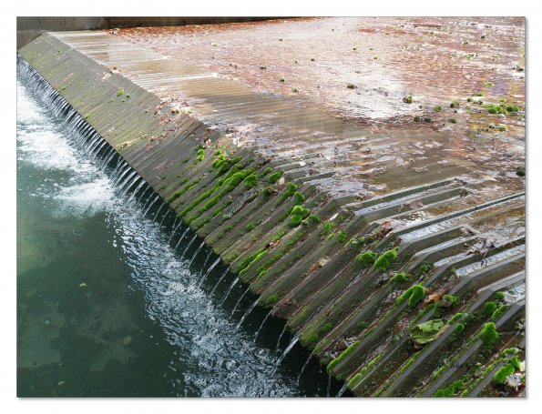 Olympus OM-D E-M1 MkII MILC