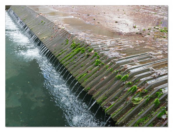 Olympus OM-D E-M1 MkII MILC