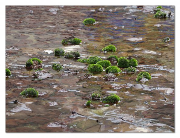 Olympus OM-D E-M1 MkII MILC